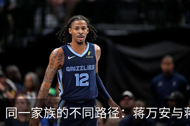同一家族的不同路径：蒋万安与蒋友青的风格差异