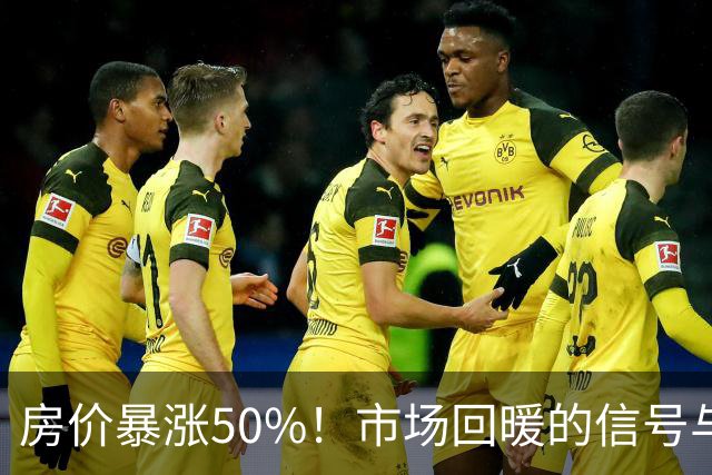 房价暴涨50%！市场回暖的信号与挑战